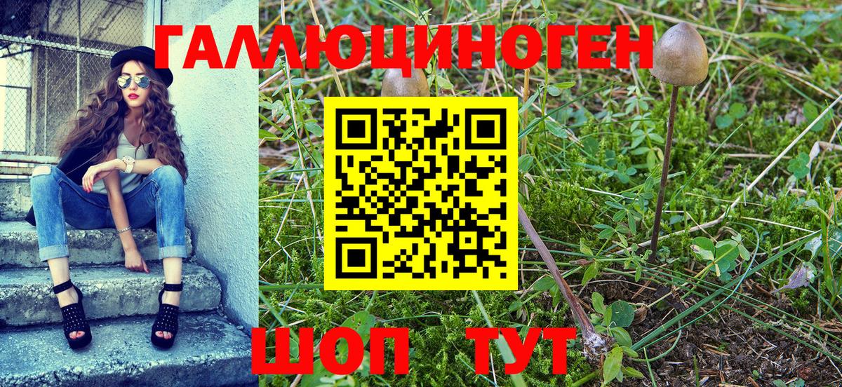 Донецк  Псилоцибиновые грибы Magic Shrooms  Вход с VPN 